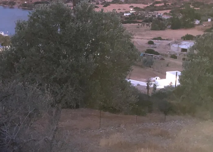 το μικρό σπίτι στο λιβάδι The Little House In The Meadow Parthénion